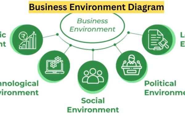 Business Environment Diagram
