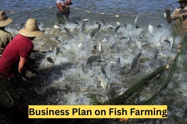 Business Plan on Fish Farming: A Comprehensive Guide Business Plan on Fish Farming