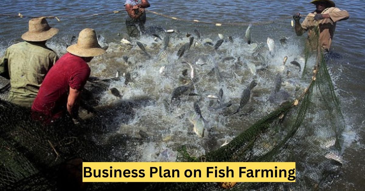 Business Plan on Fish Farming