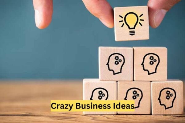 Crazy Business Ideas